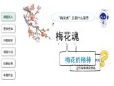 梅花魂 精品课件+教案
