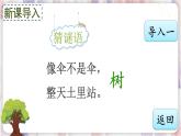 部编版3年级语文下册 第五单元 17 我变成了一棵树 PPT课件