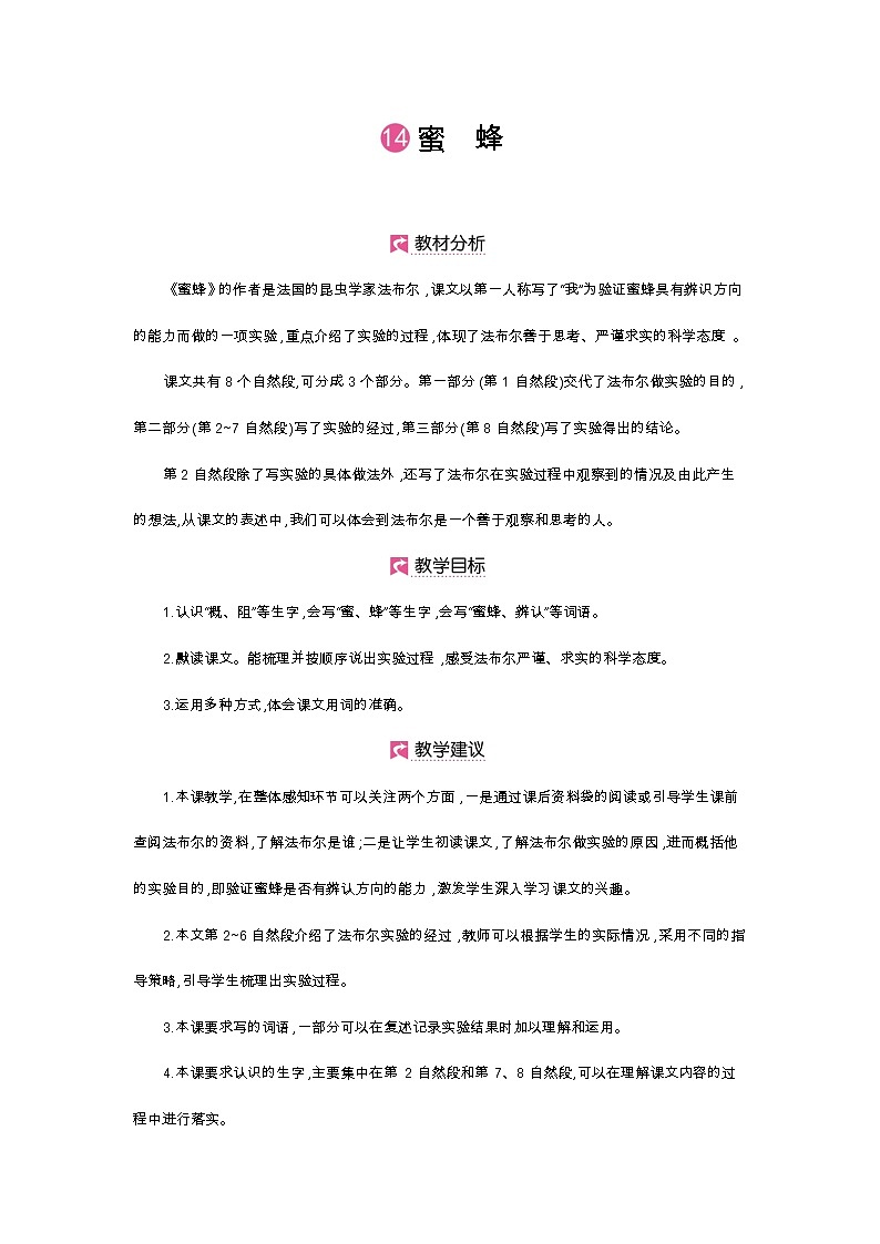 第14课 蜜蜂第1页