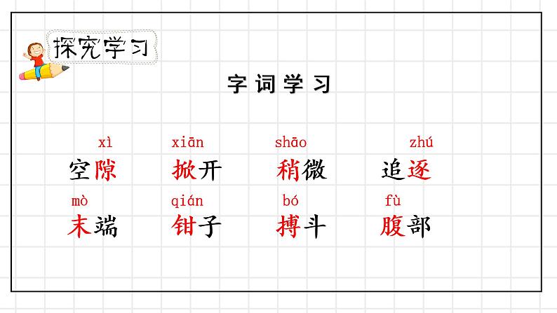 人教部编版三年级下册第四单元—第十五课《小虾》【PPT+教案】05