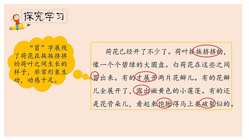 人教部编版三年级下册第一单元——第三课《荷花》【PPT+教案】06