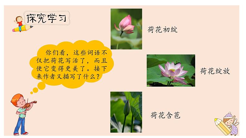 人教部编版三年级下册第一单元——第三课《荷花》【PPT+教案】07