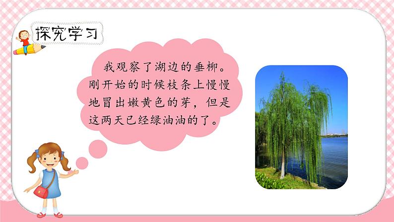 《我的植物朋友》第一课时（教案匹配版）第3页