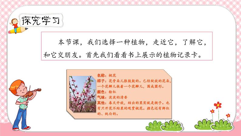 《我的植物朋友》第一课时（教案匹配版）第4页