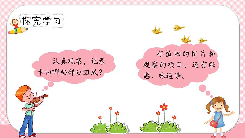 《我的植物朋友》第一课时（教案匹配版）第5页