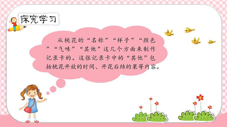 《我的植物朋友》第一课时（教案匹配版）第6页