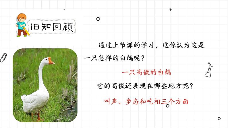 《白鹅》第二课时（教案匹配版）第2页