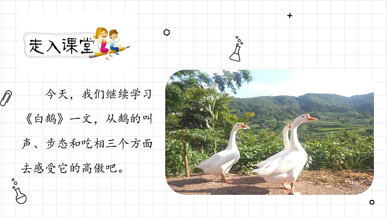 《白鹅》第二课时（教案匹配版）第3页