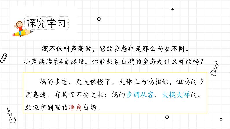 《白鹅》第二课时（教案匹配版）第5页