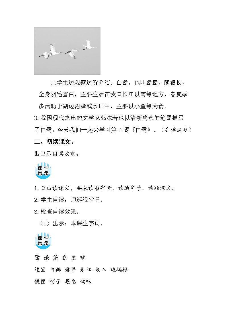 五年级上册语文人教部编版 1.白鹭  教案03