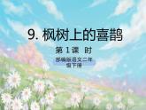 《9 枫树上的喜鹊》课件+教案+练习+素材