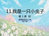 《11 我是一只小虫子》课件+教案+练习+素材