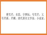 《8 红楼春趣》 课件+教案+练习+素材
