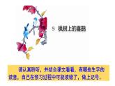 二下 9 枫树上的喜鹊 课件