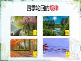二下22《小毛虫》说课课件