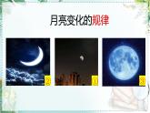 二下22《小毛虫》说课课件