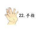 五下22《手指》课件