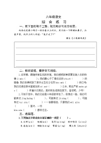 山东省潍坊地区2022-2023学年六年级上学期期中考试语文试题（含答案）