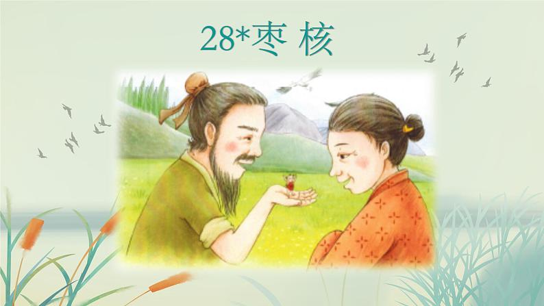 三下28《枣核》说课课件第7页