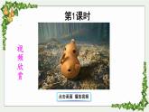 部编版4年级语文下册 第八单元 26 宝葫芦的秘密（节选）  PPT课件+教案