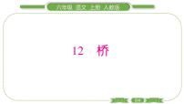 小学语文人教部编版六年级上册13 桥习题ppt课件