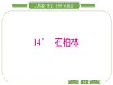 人教版六年级语文上第四单元14 在柏林习题课件