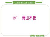 人教版六年级语文上第六单元19 青山不老习题课件