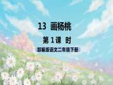 13《画杨桃》课件+教案+练习+素材