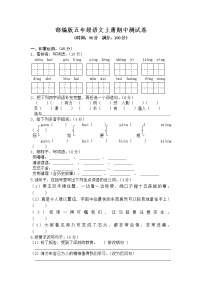 部编版五年级语文上册  期中测试卷2