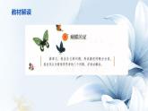 四上8《蝴蝶的家》课件