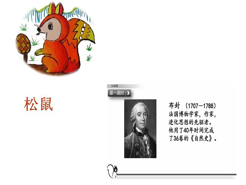 部编本语文五上松鼠PPT第2页