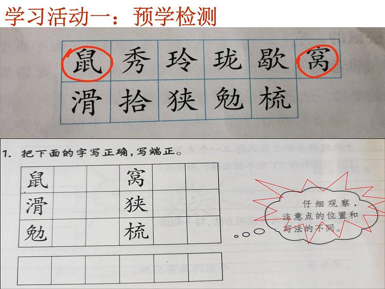 部编本语文五上松鼠PPT第3页