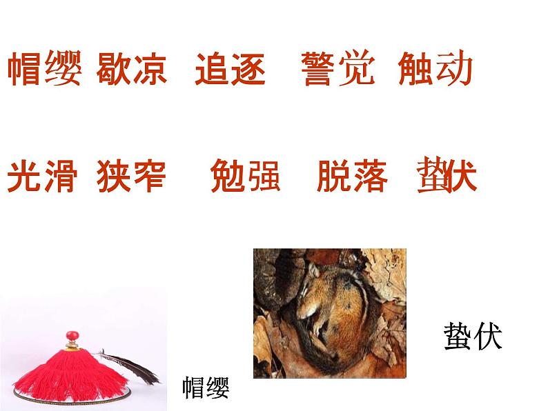 部编本语文五上松鼠PPT第4页