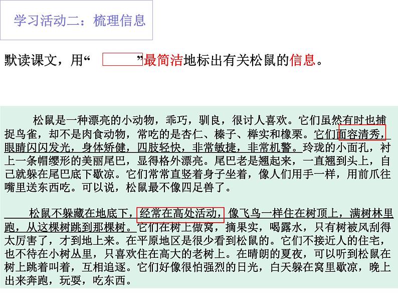 部编本语文五上松鼠PPT第5页