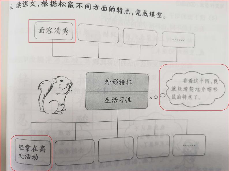 部编本语文五上松鼠PPT第6页