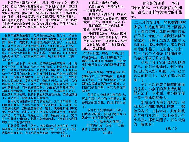 部编本语文五上松鼠PPT第7页