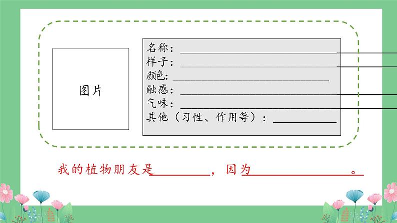 三下语文第1单元   我的植物朋友课件第5页