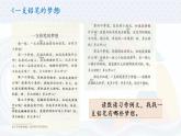 三下语文第5单元 奇妙的想象课件