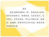 五上习作：介绍一种事物课件