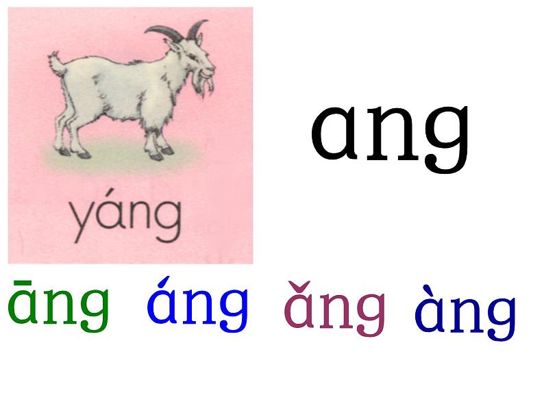 一上13《ang-eng-ing-ong》课件第8页