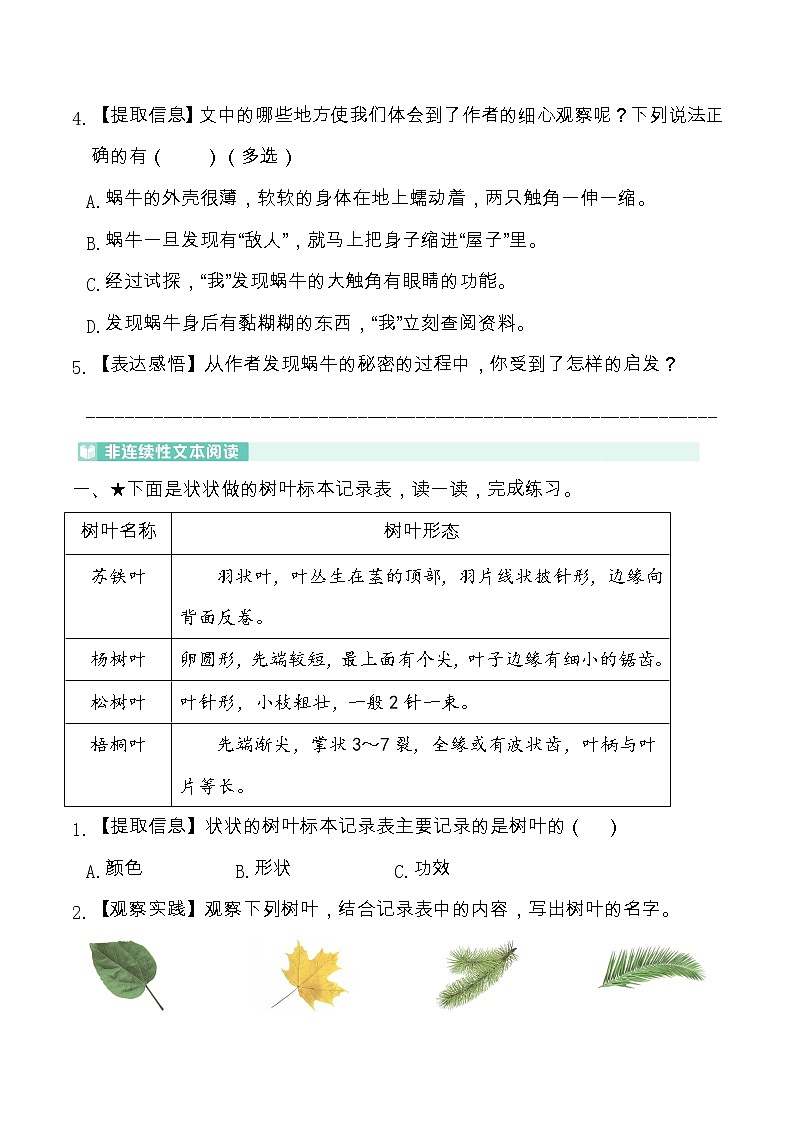 人教部编版四年级语文上册 第三单元主题阅读——连续观察（含答案及详细解析）03