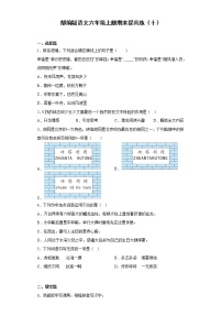 部编版语文六年级上册期末提高练（十）