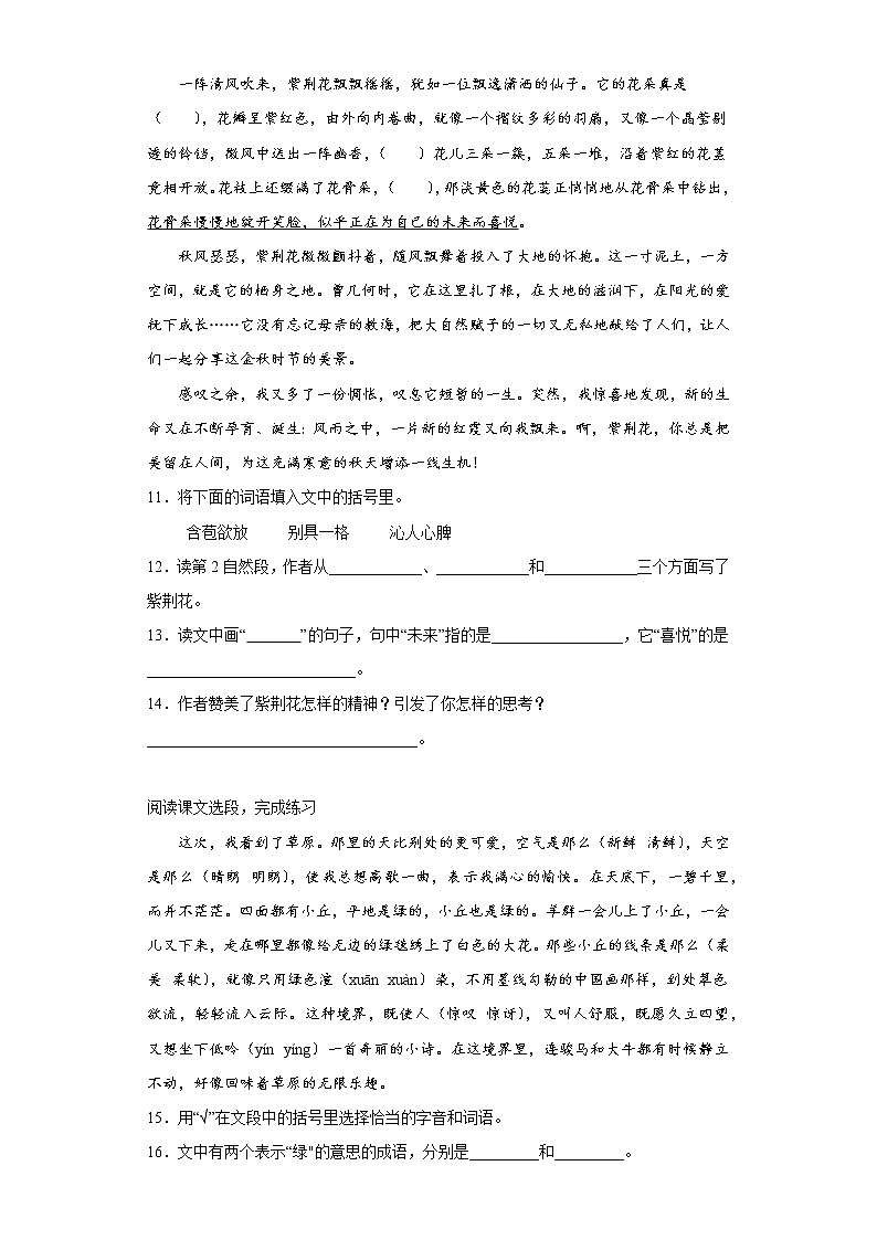 部编版语文六年级上册期末提高练（四）第3页