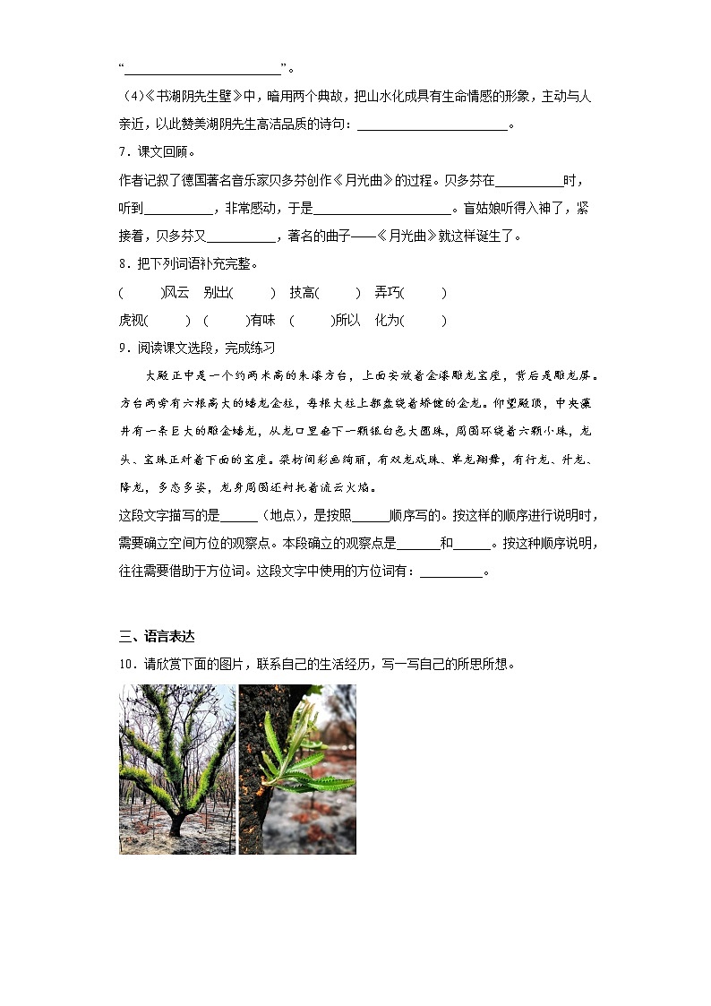 部编版语文六年级上册期末提高练（十七）第2页