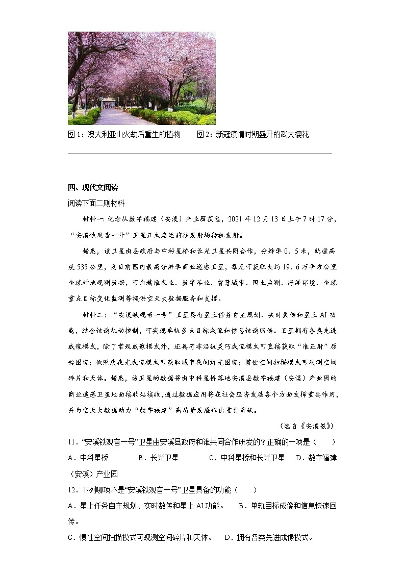 部编版语文六年级上册期末提高练（十七）第3页