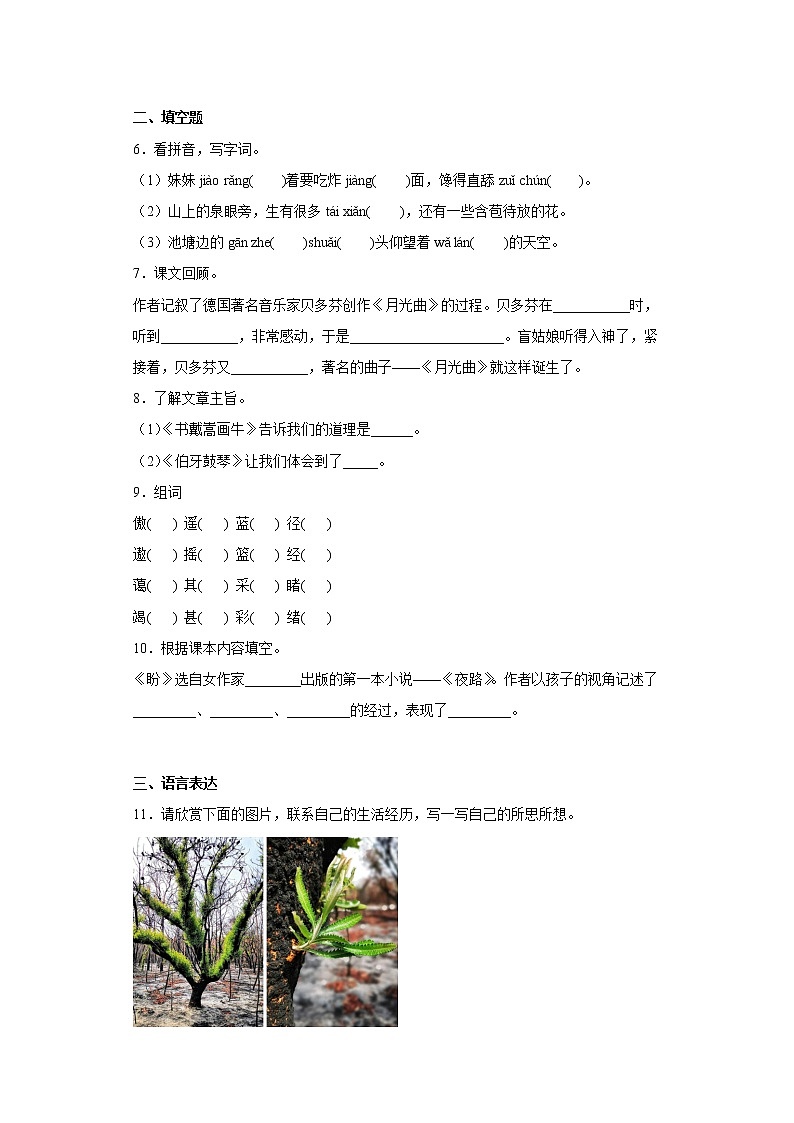 部编版语文六年级上册期末提高练（十六）第2页