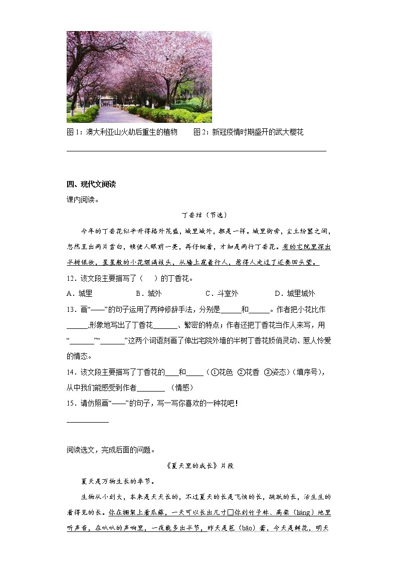部编版语文六年级上册期末提高练（十六）第3页