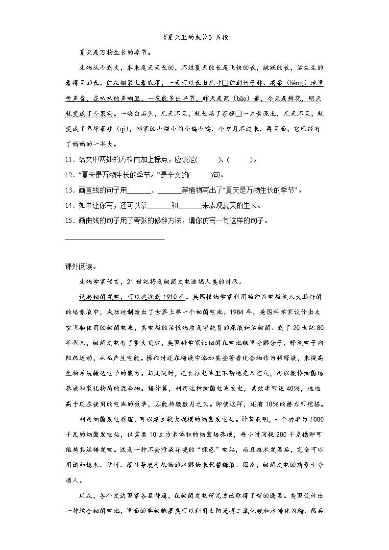 部编版语文六年级上册期末提高练（十三）第3页