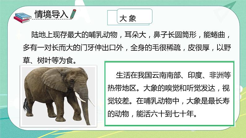 部编版二年级语文下册第七单元第十九课大象的耳朵 课件第4页