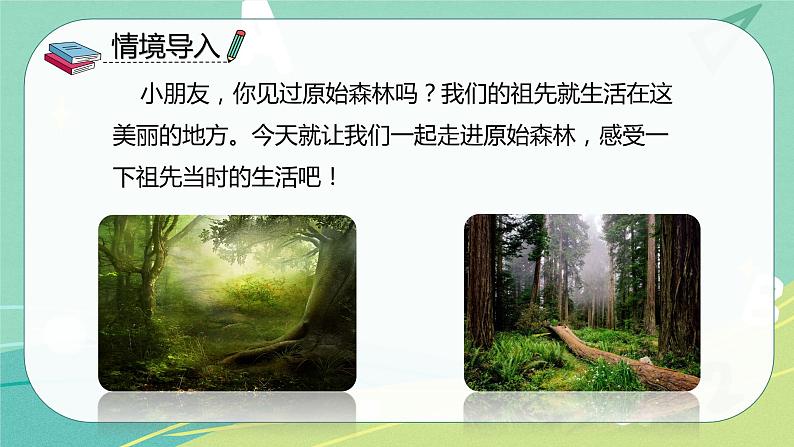部编版二年级语文下册第八单元第二十三课祖先的摇篮 课件03